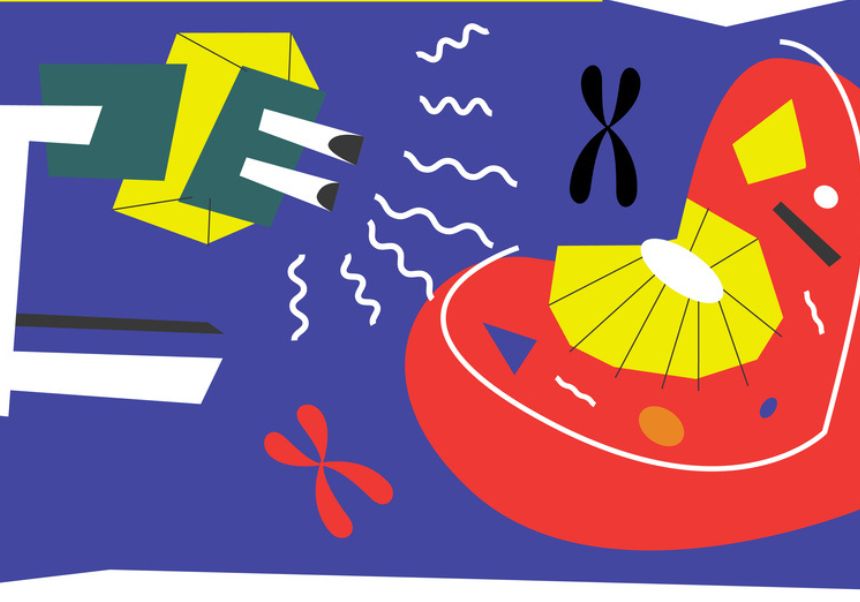 Imatge del esdeveniment:Logo Residir en la Investigació